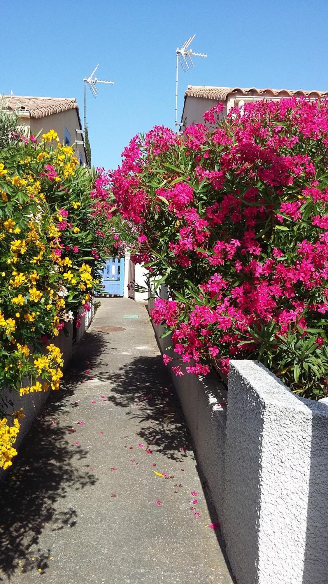 Vila Les Amandines Agde Exteriér fotografie